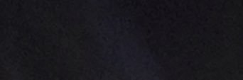 cartier's banner