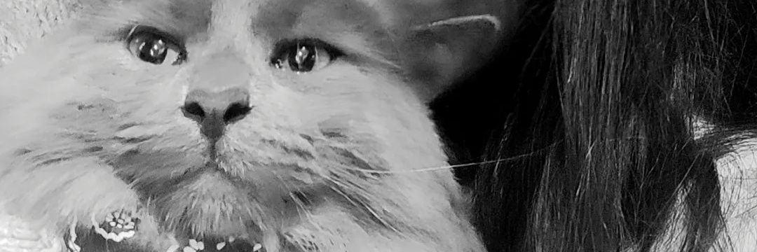 gzemdgan's profile banner image