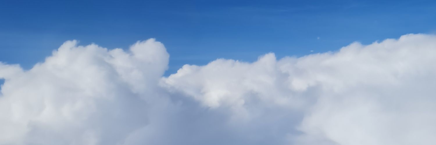 thenalcoholic's profile banner image