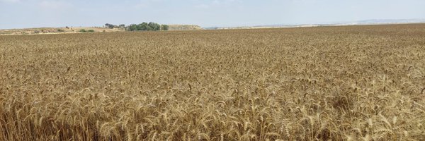 UncleScience Profile Banner