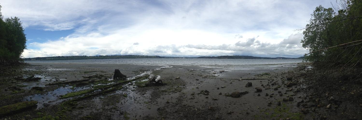 Steven Roberts banner