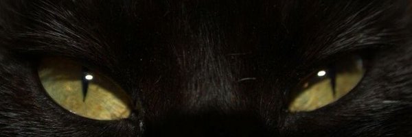 vaebi3 Profile Banner