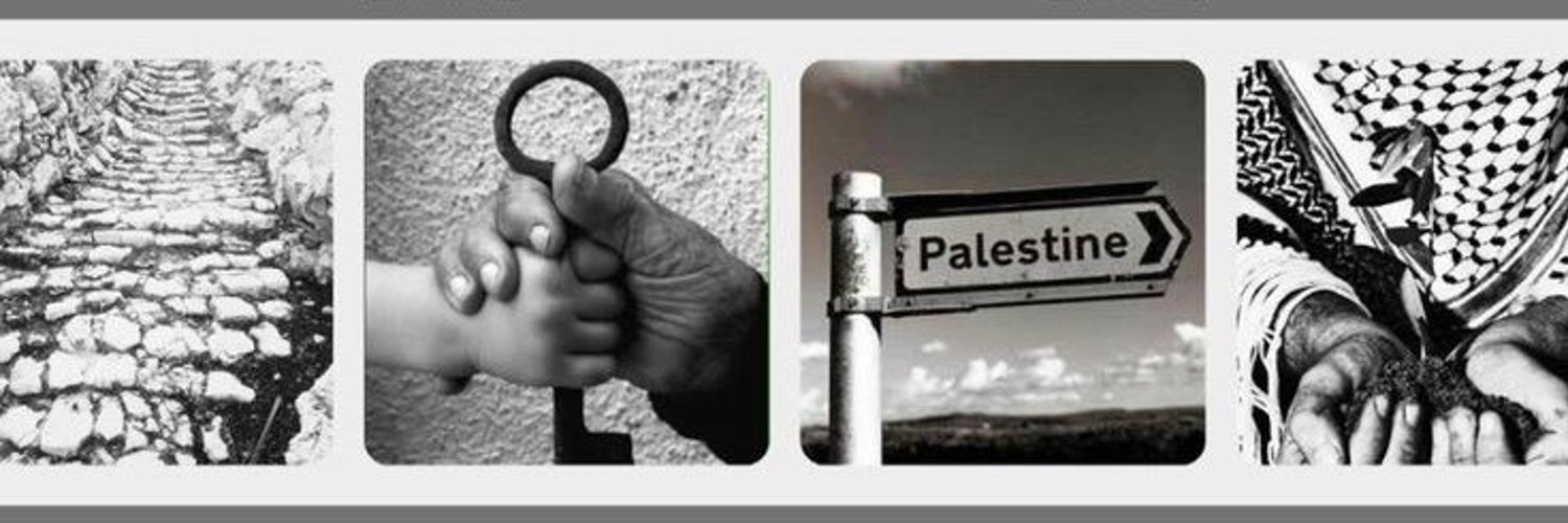 Sohair| From Gaza 🍉🇵🇸🫒's banner