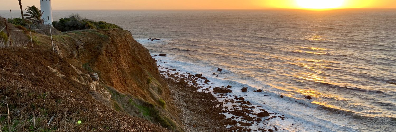 Robert Hammen banner