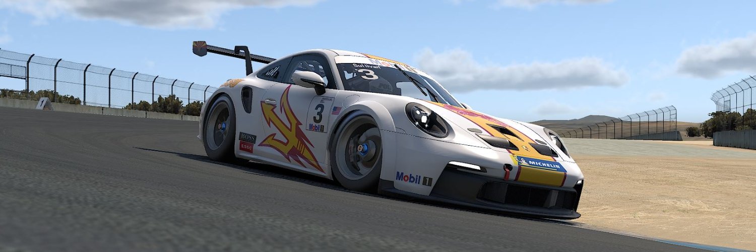 Brandon Sullivan banner