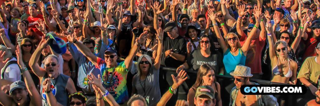 GatheringOfTheVibes banner