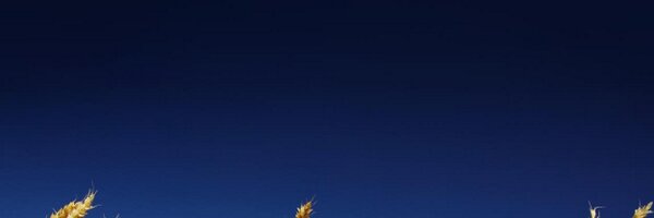 TstormWeather Profile Banner