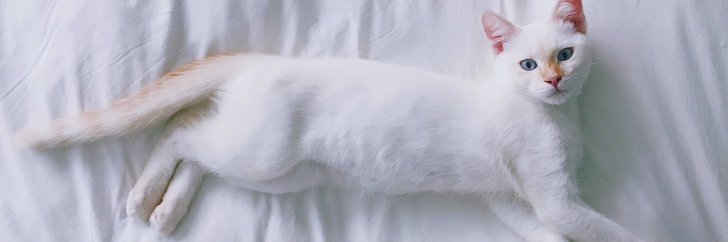 Ruby Anaya banner