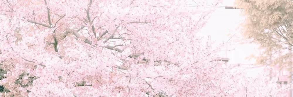 𝗫𝗫𝗡𝗭. banner