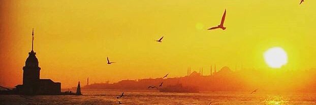murathurc's profile banner image