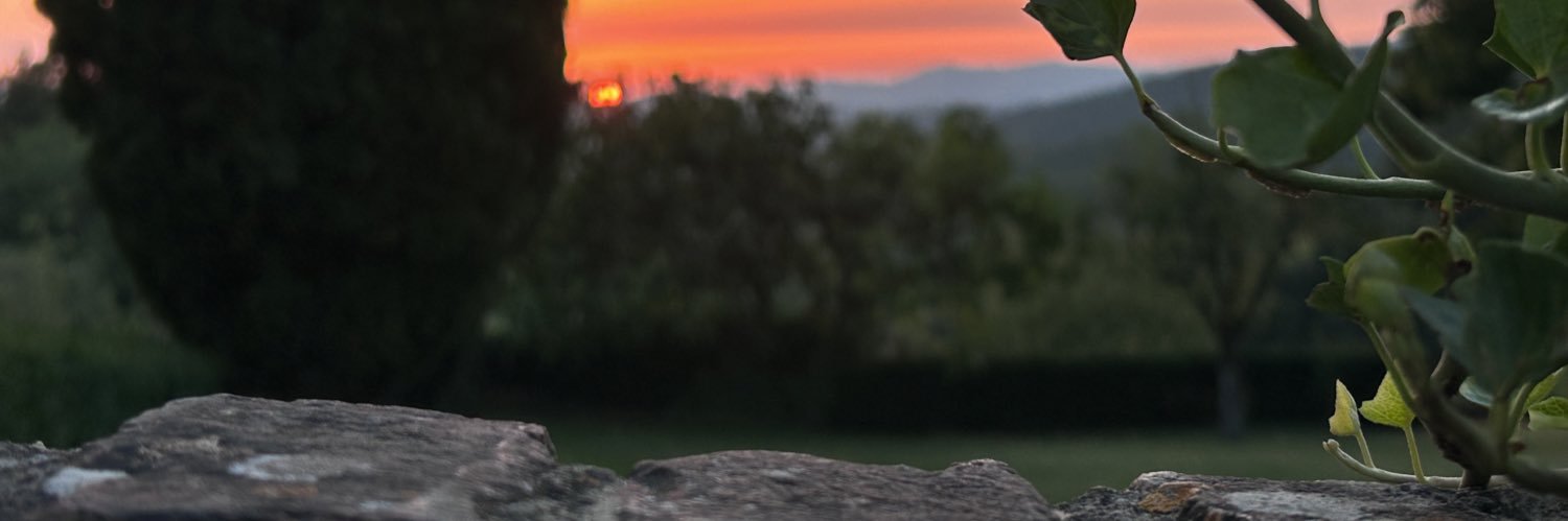 Francesco Roscio banner