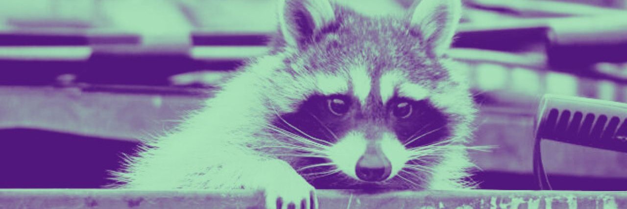 Bender Raccoon's banner