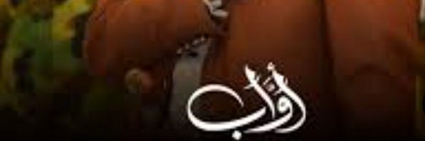 fifochh Profile Banner