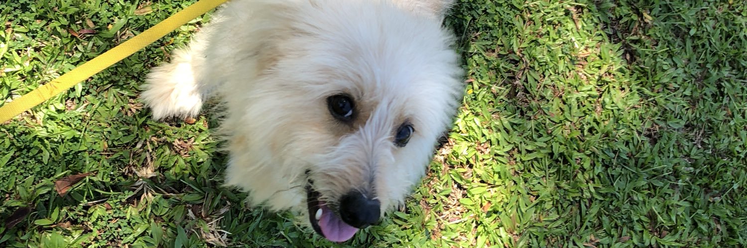 MinziMandy's profile banner image