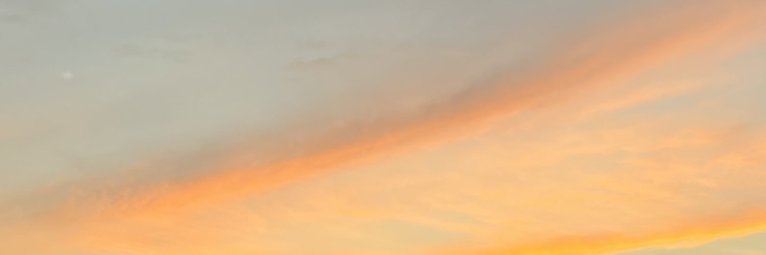 daisy banner