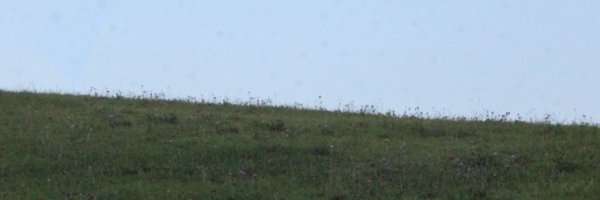 yosuga_0515 Profile Banner