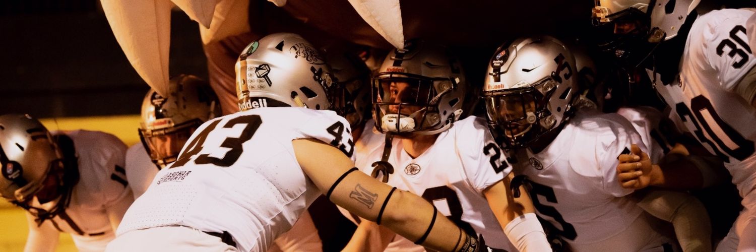 BDN_Dracs's profile banner image