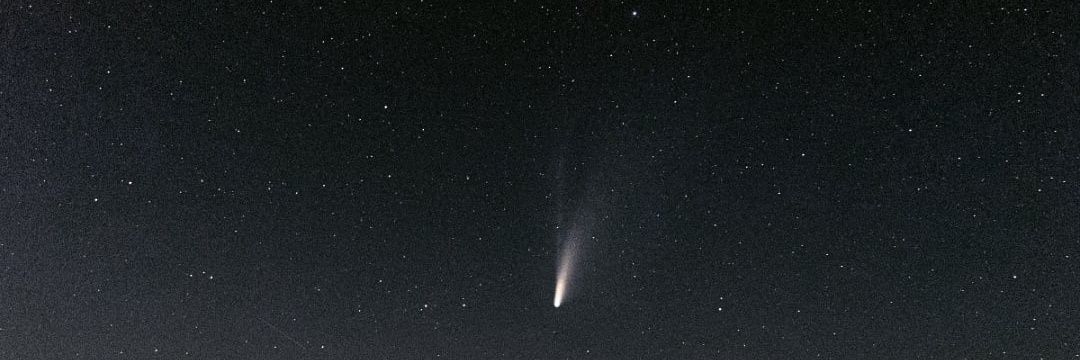 nekosvoj1's profile banner image