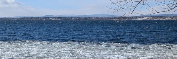 MoneysNotNeeded Profile Banner