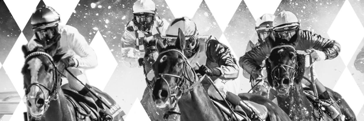 The Horse's Mouth banner