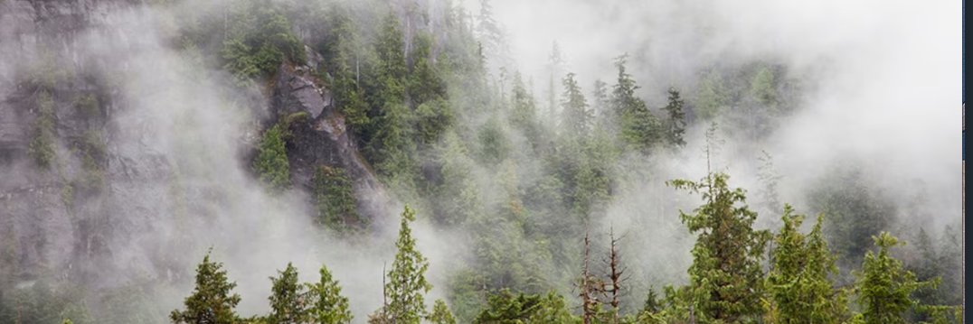 Crypto Canadian banner