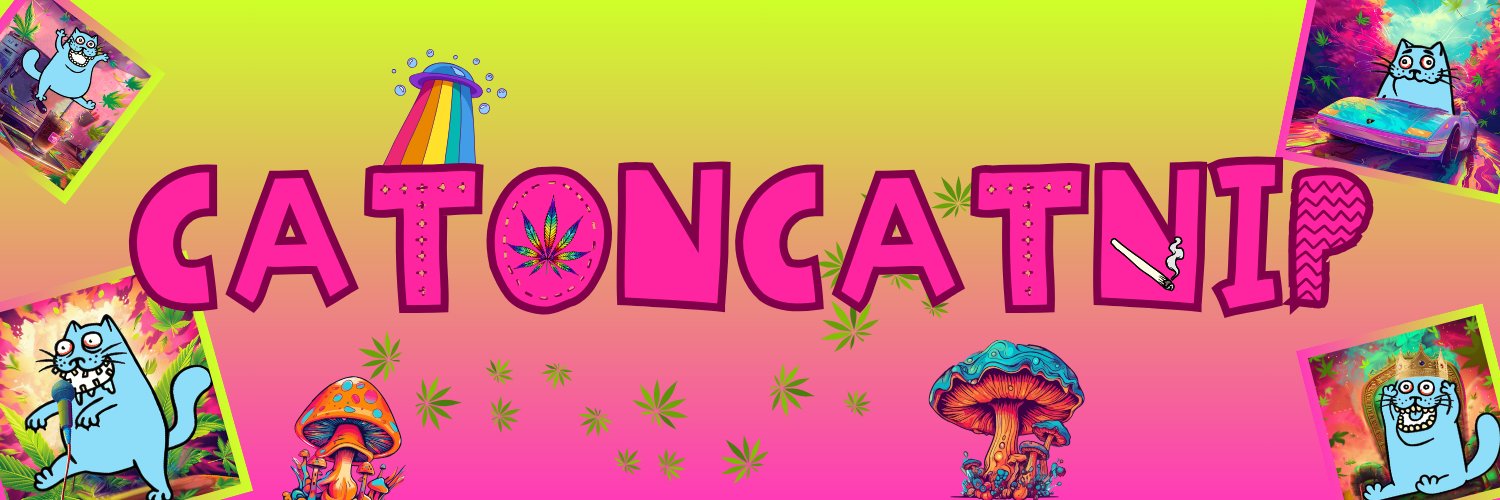 caton_catnip's profile banner image