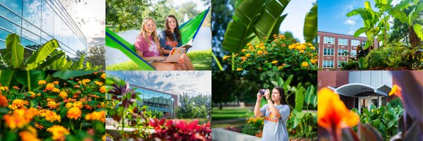 pittstate Profile Banner