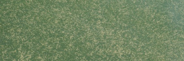 balticnitrogen Profile Banner