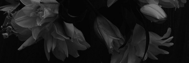 GENEVRA GRIMALDI. banner