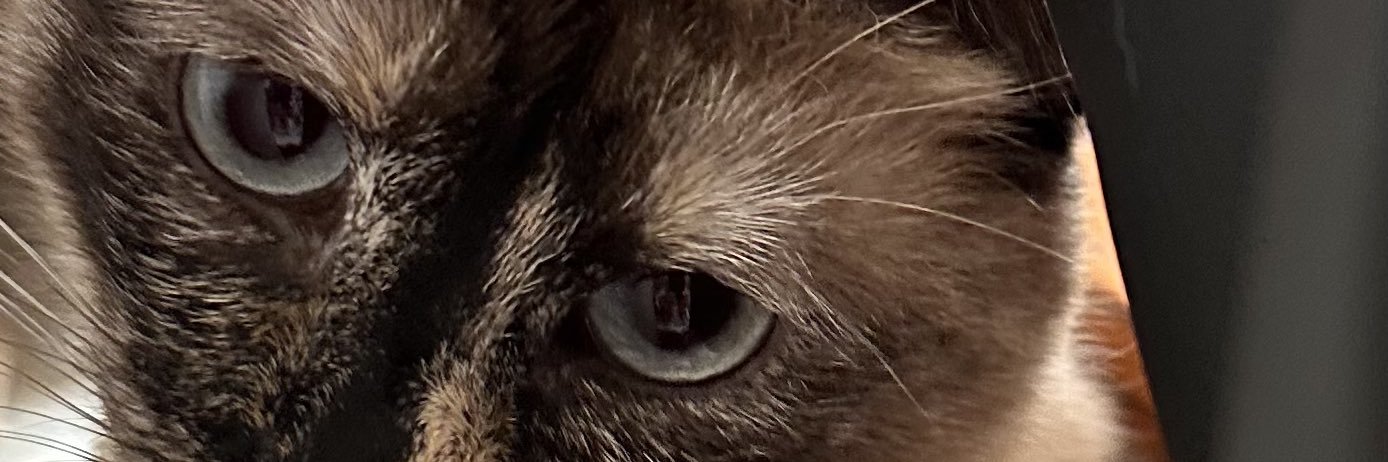 Kathleen Haynes Barker banner