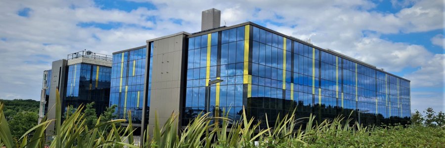 Sarah Walmsley Lab banner