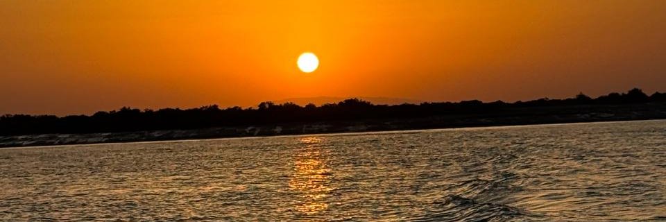 N. banner