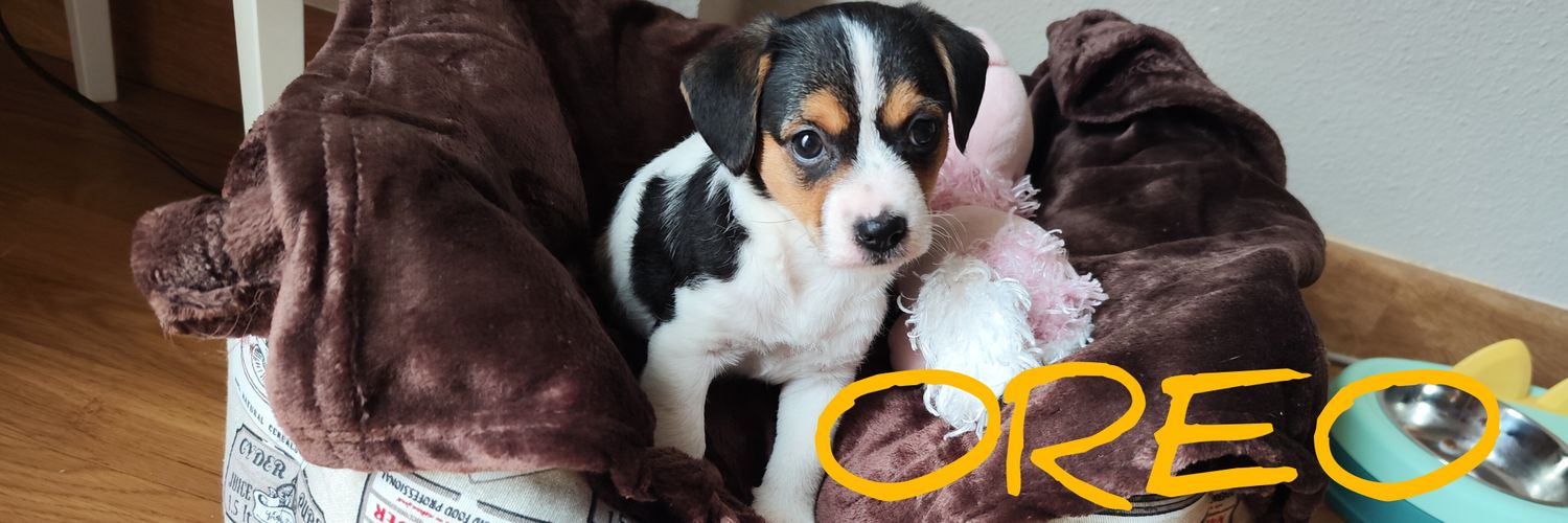 OREO banner