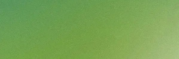 Oakesleep's profile banner image