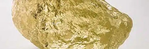 Robert young banner