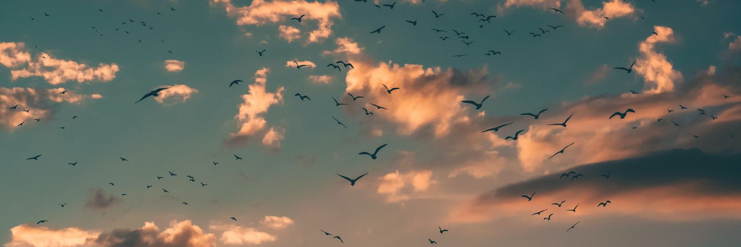 leratolemema's profile banner image
