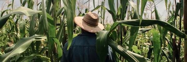 SAbERES_mx Profile Banner