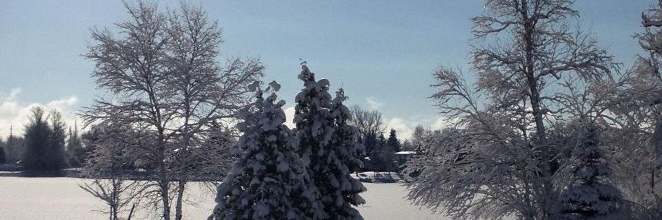 StephLe5's profile banner image