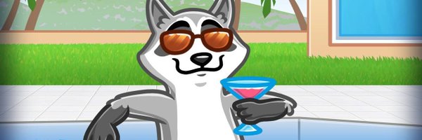 RaccoonBase Profile Banner