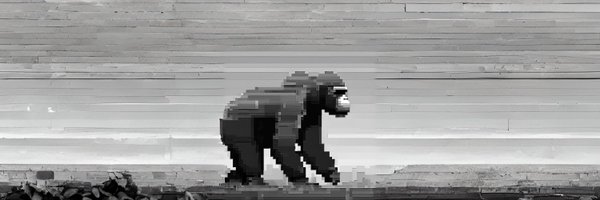 ApeSeasonCoin Profile Banner