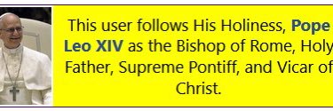 Everyday Catholic banner