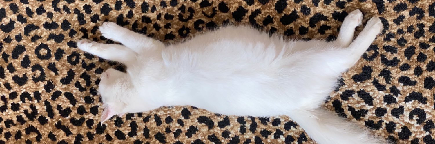 dindudes's profile banner image