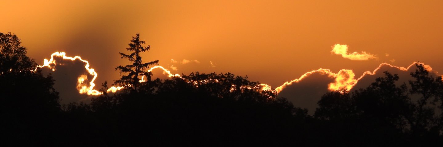 RoyJemison's profile banner image