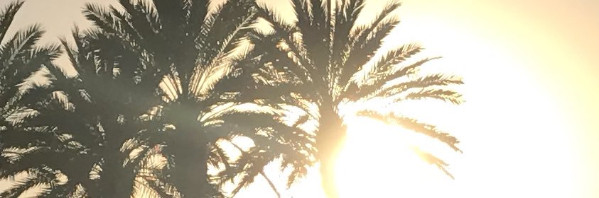 Cordeiro banner