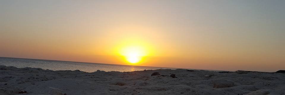 Amine CHOUAIEB banner