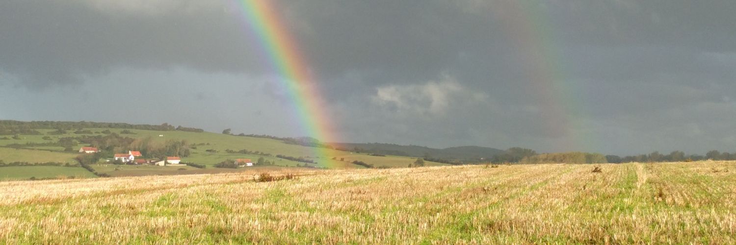 Béate Vervaecke 💬 banner