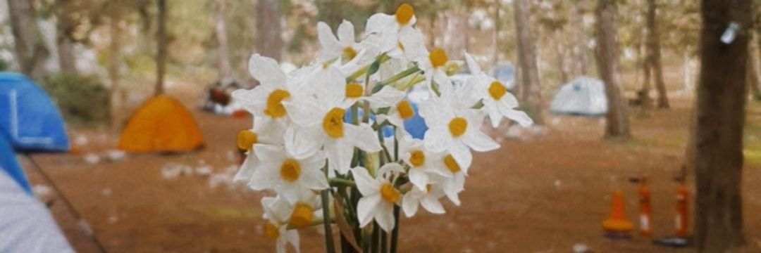 umaymear's profile banner image