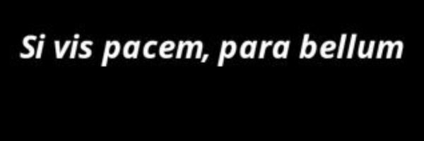 VirVoyevoda Profile Banner