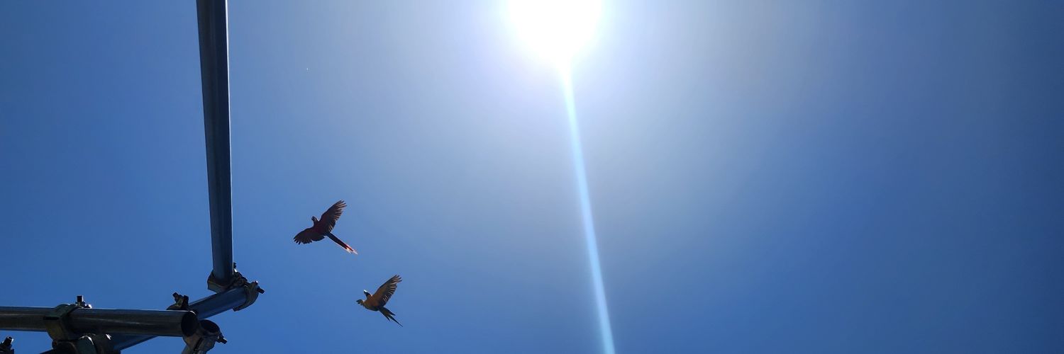 fearless_244's profile banner image