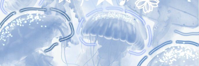 Mao banner